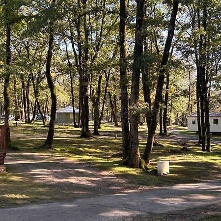 Camping Les Petites Minaudieres Coussay-les-Bois Exteriér fotografie
